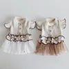 Hundkläder lyx klassisk klänning för små hundar ruffles paljett design valp yorkie terrier prinsessa kjol höst vinterkläder husdjur