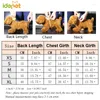 Dog Apparel Winter Pet Clothes For Dogs Cats Warm Coat Sweet Bowknot Dress Cat Puppy Clothing Cute Skirt Sweater Chihuahua