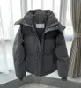 Heren donsjack parka's jas puffer vest windjack mode jas stijl slank korset dikke outfit zak buitenmaatse dames donsjassen