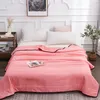 Blankets Summer Washable Quilted Thin Quilt Skin-friendly Breathable Throw Blanket Soft Comfortable Twin King Bedding Blankets Bedclothes 230914