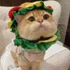 Dog Apparel Halloween Pet Burger Hood Collar Hat Cartoon Fries Bib Messing With Weird Costumes Elisabeth Circle Cosplay Cat Costume