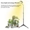 Grow Lights Desk Light Full Spectrum Table Top Stand Plant IR-UV inkluderade LED för inomhusväxter