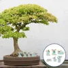 Decorações de jardim 6 pcs micro paisagem mini plantas suculentas em miniatura animal estatueta figura vaso de resina estátua ornamento decoração