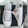 Spring Board Schoenen Sneakers Heren Schoenen Ademende vrijetijdsschoenen Canvasschoenen Gevulkaniseerde sneakers Platte wandelschoenen