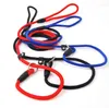 Halsbanden 200 stks/partij Huisdier Nylon Touw Training Leash Slip Lead Strap Verstelbare Tractie Kraag SN3723