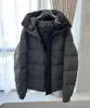 Manteau homme hiver doudoune courte épaisse chaude grande fourrure veste d'hiver Parka homme à capuche brillant manteau court coupe cintrée doudoune