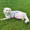 猫の衣装リボン付きサマードッグプリンセスドレスアンティーク服を着た美しいヴィンテージ刺繍アンティーク衣服薄いスカートペットハンフ