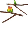 Other Bird Supplies 2/4pcs Pet Parrot Standing Stick Bite Claw Grinding Toy Wood Hanging Stand Perches For Cage Vogel Speelgoed