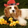 Abbigliamento per cani Decorazioni per gatti e feste di compleanno Cappello da cowboy occidentale Parasole Protezione solare Vestito da Yorkie