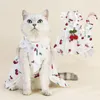 Hundkläder 1 Set Stylish Pet Kjol Soft Dress Up All Cherry Print Dogs Cats Princess With Slide