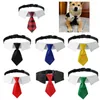 Hundebekleidung, Katzenhalsband mit Krawatte für kleine und mittelgroße Hunde, Hochzeitskostüm