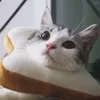 أزياء القط طوق الحيوانات الناعمة الكلب القطط جرو كرتون الخبز الخبز الوشاح الدعائم