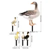 Garden Decorations 5st Chicken Stakes Ornament Duck and Duckling Lawn Insert Signs Double-Sided Printing Decoration Sculpture