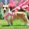 Dog Collars Leashes New Adjustable For Small Harness Pet Cat Collar Personalized Chihuahua Frence Bulldog Outdoor Puppy Accessories Wholesale 230915
