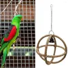 Andra fågelförsörjningar papegoja sömnadsleksaksbitbeständig lätt slipning hängande kul husdjur