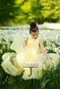 Girl Dresses JONANY 2023 Flower Dress O-Neck Tulle Pleate Custom Made Birthday Pageant Communion Robe De Demoiselle Wedding Party