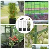 Andra trädgårdsförträdesmedel Vegetabiliska tomatstöd Rack Vine Climbing Frame Holder Vertical Plants Cage Trellis Flower Plant Pillar Drop D DHK1C