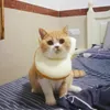 Dog Apparel Funny Puppy Cat Headdress Toast Cute Bread Slice Hat Cosplay Dress Up Props Hats For Cats Decoration