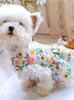 Vêtements pour chiens Robe en dentelle à imprimé floral Printemps Été Tenue pour animaux de compagnie XS XL Vêtements pour petit magasin de gros mignon Jupe de fête Chiot Costumes de chat