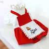 Odzież psa ubrania petcircle francuska dama czerwona sukienka na małe średnie szczeniaki kota przez cały sezon strój ubrania.