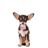 Vestuário para cães 50pcs Lace Bowtie Pet Pequeno Collar Bow Tie Filhote de Cachorro Grooming Acessórios Bowties Ajustáveis Gato