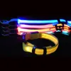 Colliers de chien Laisses LED collier lumière grand chat animal de compagnie petit charme nuit sombre sécurité lumière clignotante USB Charge Anti perte Nylon pour Chihuahua laisse 230915