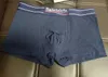 3 pièces/lot hommes sous-vêtements caleçons Boxer coton biologique Shorts Modal Sexy Gay mâle boxeurs Brathable nouveau maille homme sous-vêtements taille M-XXL L230915