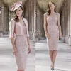 Blush Lace Mother Of The Bride Dresses V-Neck Sheath Wedding Guest Dress Knee Length Plus Size Beaded Formal Gowns2835