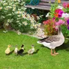 Garden Decorations 5st Chicken Stakes Ornament Duck and Duckling Lawn Insert Signs Double-Sided Printing Decoration Sculpture