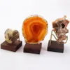 Hooks Rails Metal Arm Trä Bas Display Standel för Gemstone Mineral Home Decor Minerals Fossils Rocks Geode Stands2865