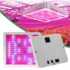 Espectro completo LED Grow Light 2000W com VEG e BLOOM Interruptor duplo Lâmpada de planta para barraca de mudas hidropônicas internas Flor de estufa LL