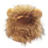 Cão vestuário pequeno gato chapéu adorável pet pogal adereços macio leve leão-estilo chapéus para cães gatos diversão po tiros respirável