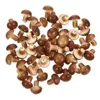 Décorations de jardin 50 PCS Simulé Champignon Ornement Mini Ornements Terrarium Décor Sculptures Extérieur Faux Plantes Ornements Bonsaï Maison