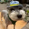 Abbigliamento per cani Cappello da festa per animali domestici Accessori per costumi da compagnia alla moda Set di comodi asciugamani per saliva da cowboy Bandana Sciarpe Cani Gatti Carini