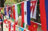 Banner Flags ZXZ world bunting flag 14*21cm 20*30cm 100 200PCS Football Soccer National Flag world country flags Bunting small world flags 230914