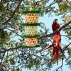 Andra fågelförsörjningsleksaker för papegojor stora och små papegojor tugghängen klocka bur lämpliga parakiter