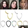 Näsringar tappar gångjärn segment ring septum piercing båge ögonbrynen brodiliage örhänge rostfritt stål tragus helix klickare kropp smycken dhkt4