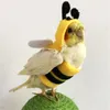 Outros suprimentos de pássaros Engraçado abelha em forma de pássaros roupas voando terno papagaios traje cosplay inverno chapéu quente com capuz acessórios para animais de estimação para periquito