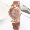 Star Simple Temperament Womens Watch Maganetic Buckle Mesh Belt Female Watches Fashion Trendy Quartz Wristwatches Multicolour Opti344Z