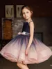 Girl Dresses Sequin Fluffy Short Sleeveless Bow Flower Dress Wedding Cute Little Child Communion Birthday Party