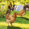庭の装飾鶏肉の装飾屋外雌鶏のステークグラウンドプラグ家禽彫像耐候性動物彫刻現実的な雄鶏