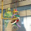 Andra fågelförsörjningar papegoja tugga leksak tugga leksaker klättring blockerar färgglada små djur macaw presenter