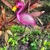 Decorazioni da giardino Decorazioni da parete in metallo con fenicotteri rosa per la decorazione domestica Statue da esterno Sculture e figurine Ornamenti Cortile della camera da letto