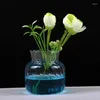 Vasi nordici creativi trasparenti per bottiglie di piante vaso di fiori vaso da tavolo contenitore per terrari idroponici