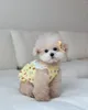 Dog Apparel Cute Bear Pattern Skirt Halter Lace Short Pet Clothes Small Summer For Puppy Chihuahua Schnauzer