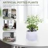 Fiori decorativi Finti piccoli bonsai realistici Ornamenti per vasi finti Bacche Piante in vaso artificiali Plastica