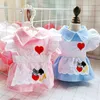 Vêtements de chien mignon coeur dentelle robe chat chiot jupe princesse costume petits vêtements été tenue d'animal de compagnie Bichon caniche robes de Poméranie