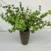 Dekorativa blommor 100 cm konstgjorda Pothos Four-Fork Simulation Green Plant Indoor Wedding Home Decoration Hall Flower