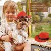 Abbigliamento per cani Decorazioni per gatti e feste di compleanno Cappello da cowboy occidentale Parasole Protezione solare Vestito da Yorkie