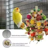 Altre forniture per uccelli Giocattolo leggero per pappagalli Resistente ai morsi Gabbia creativa multicolore da masticare